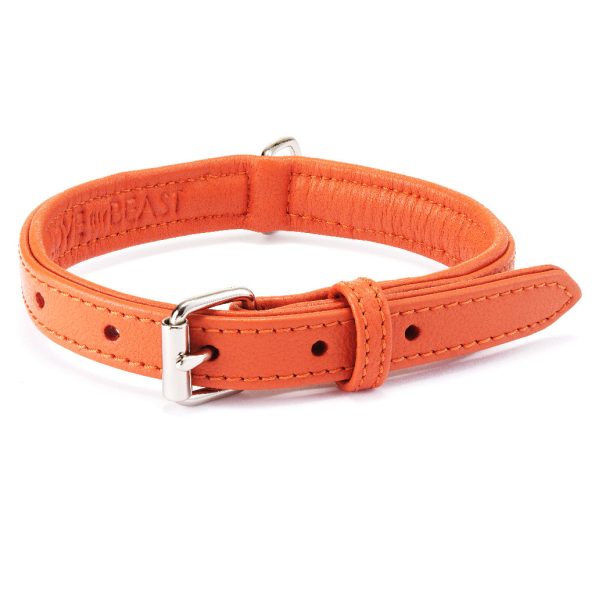 Collar-03